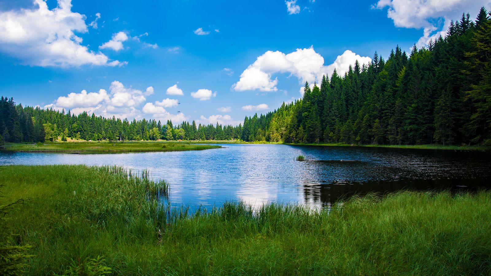The Alexandria Lakes Area: Where to Buy a Lake Home