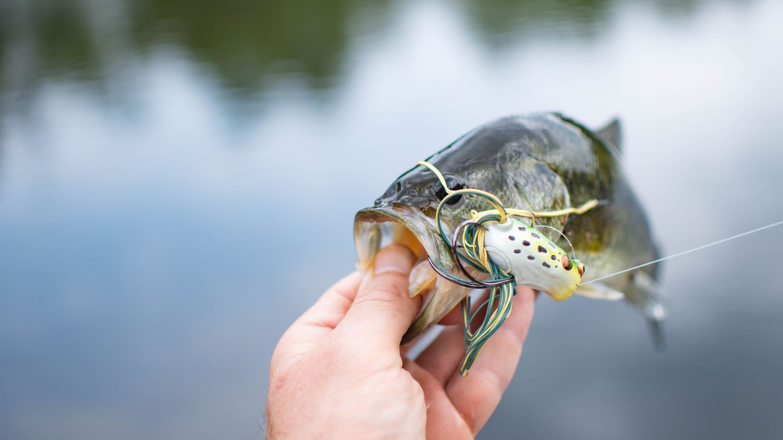 The Best Bass Fishing Lakes in Minnesota