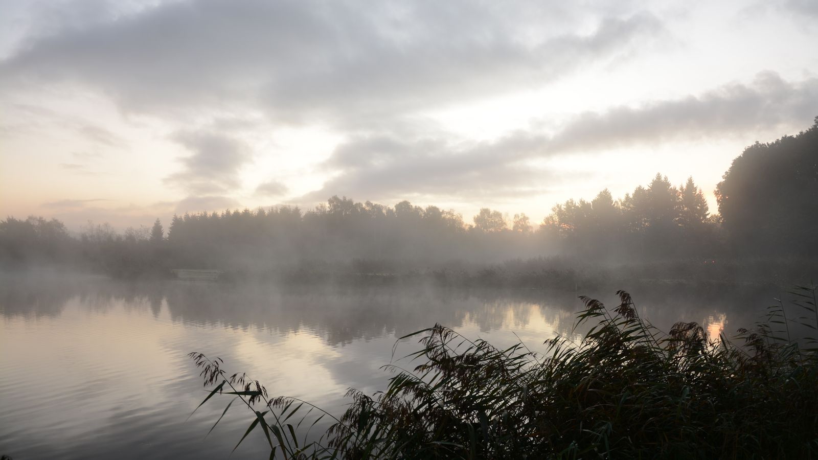 The Best Quiet Lakes in Minnesota for a Peaceful Cabin