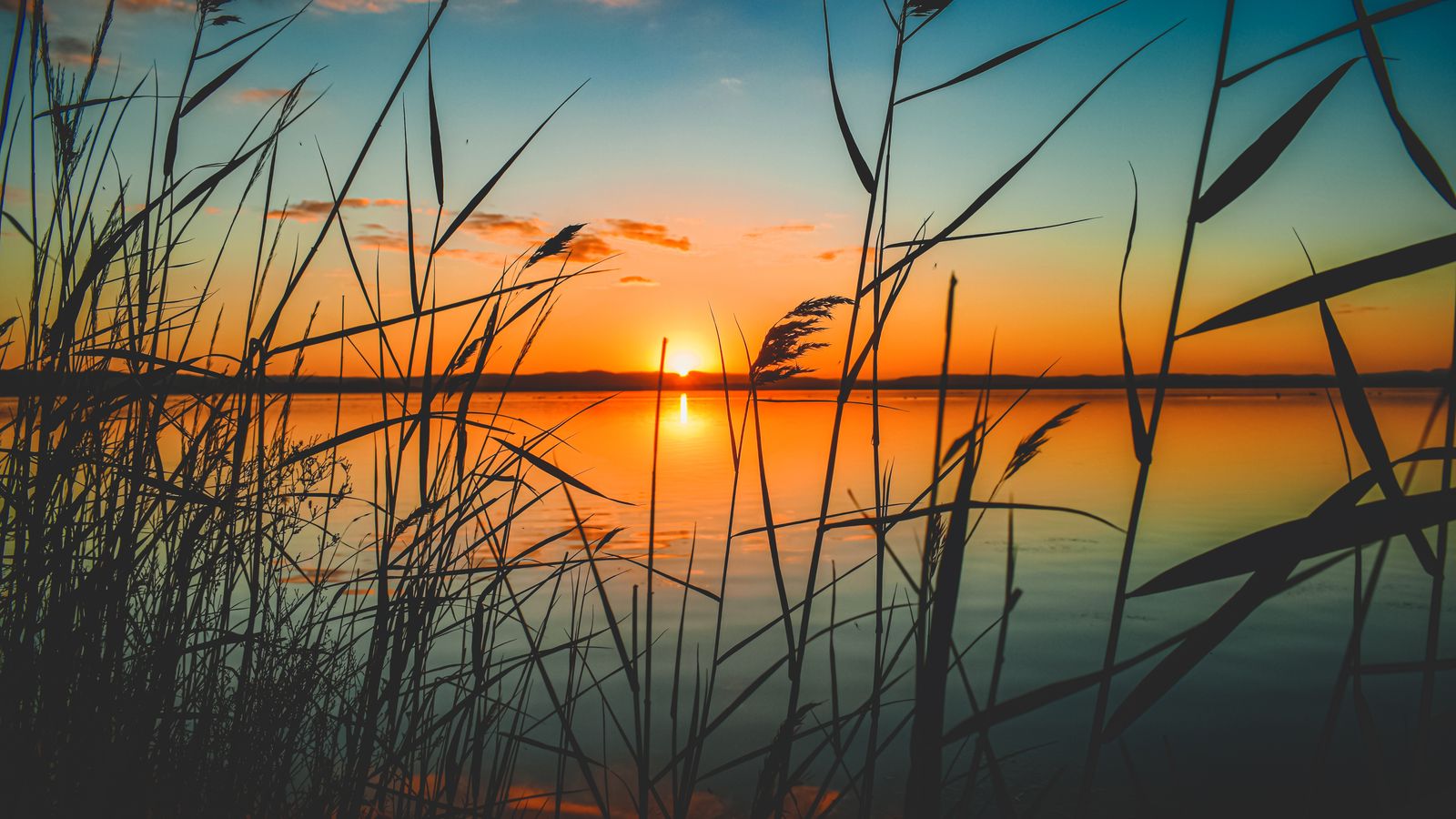 When Is the Best Time to Buy a Minnesota Lake Home?