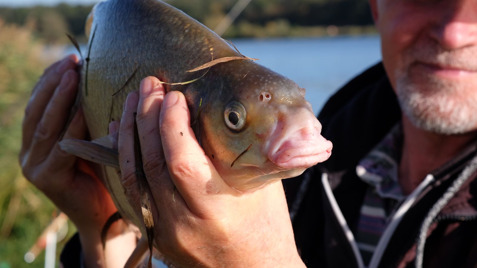 The Best Walleye Lakes in Minnesota for Cabin Buyers