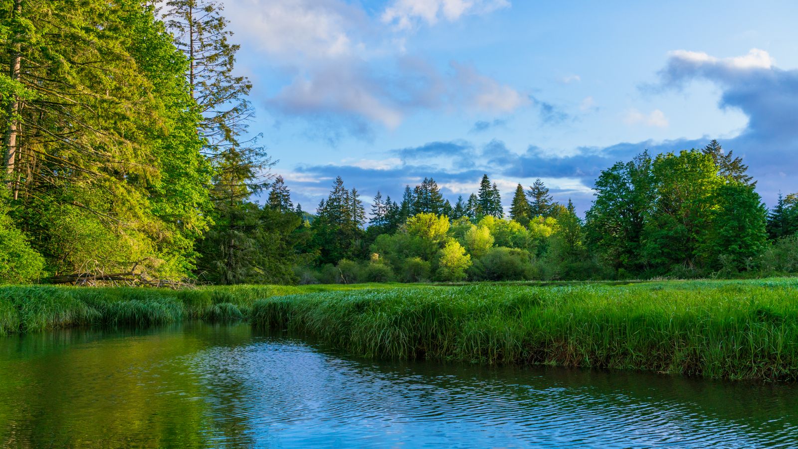 The Best Lakes in the Brainerd Lakes Area for a Cabin