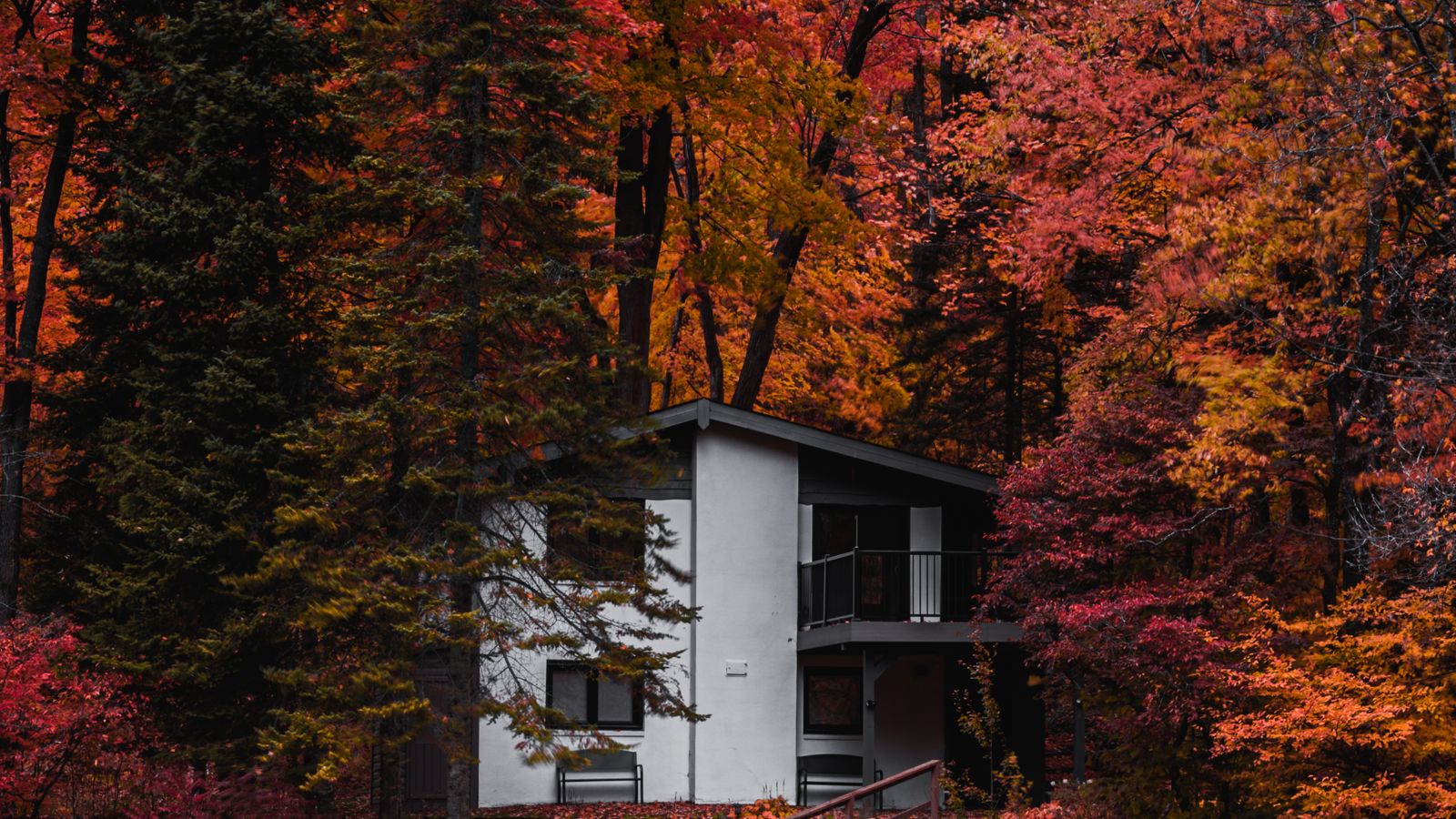 Buying a Cabin in Minnesota: The 2026 Guide