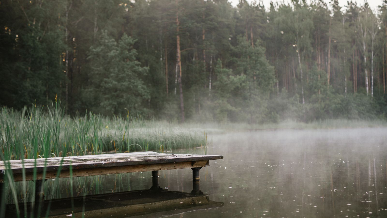 How to Choose the Right Minnesota Lake: A Buyer's Framework