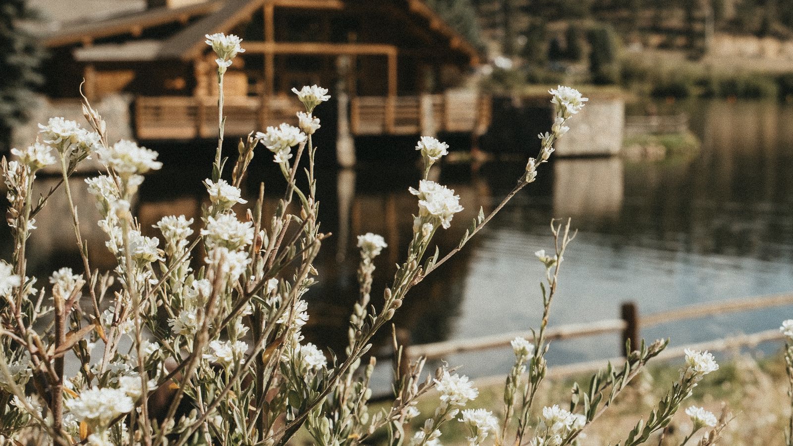 Buying a Minnesota Lake Cabin as a Short-Term Rental