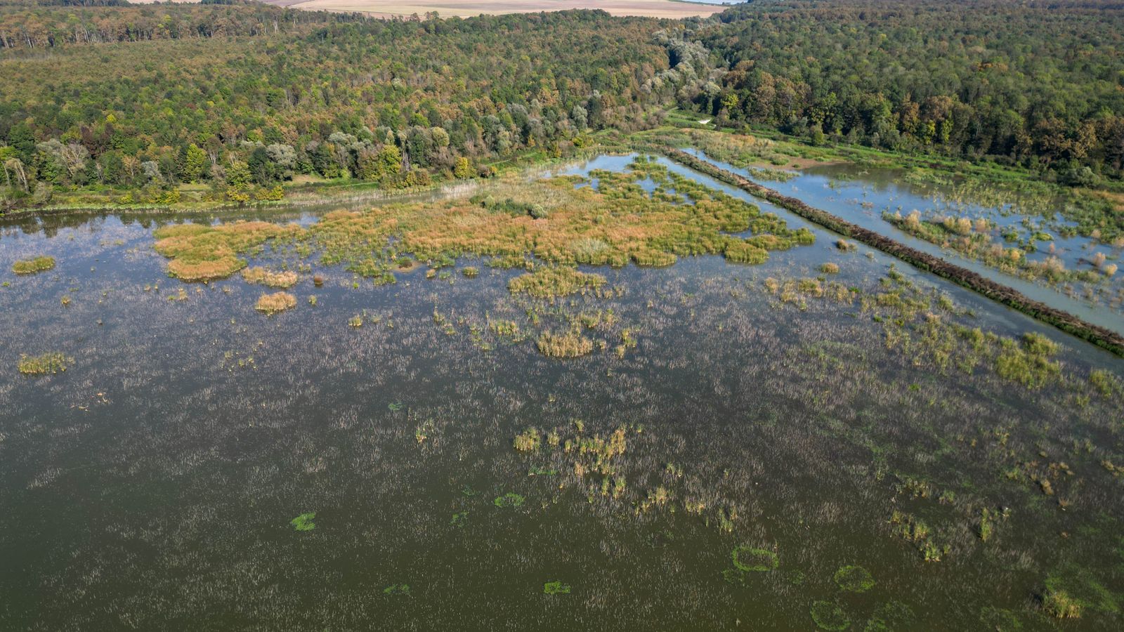 Lake Water Quality in Minnesota: Clarity, Weeds & AIS