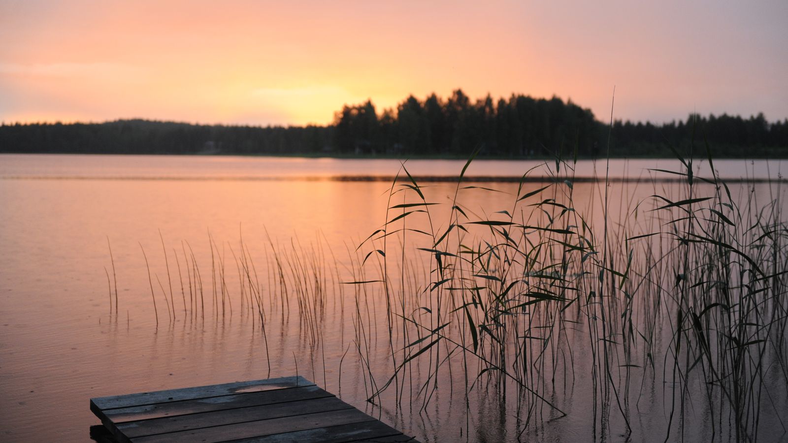 Retiring on a Minnesota Lake: A Buyer's Guide