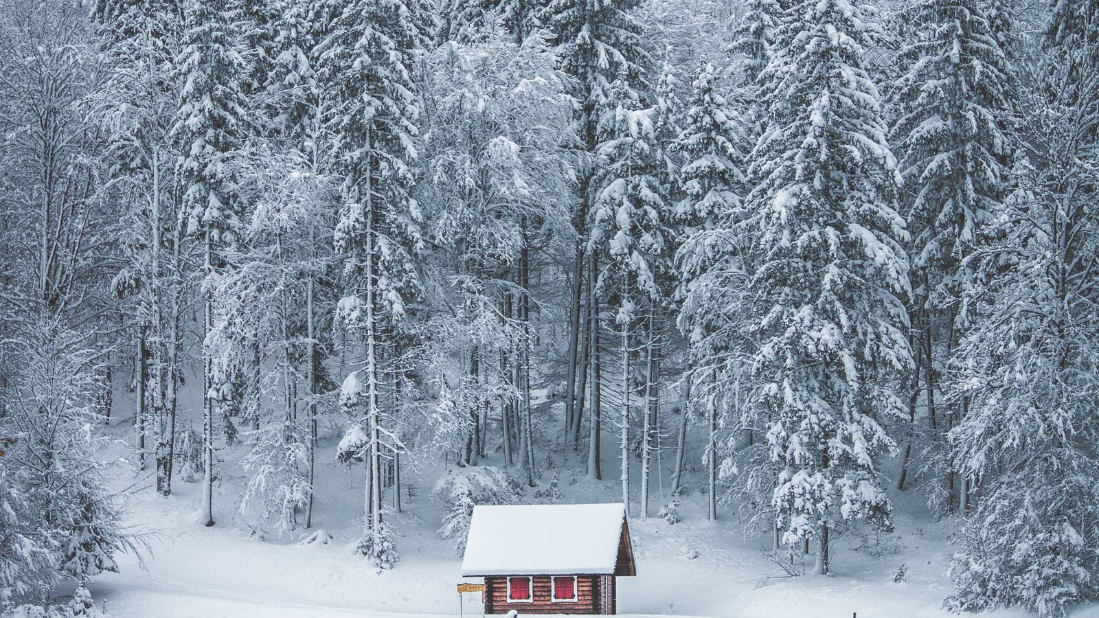Year-Round vs. Seasonal Lake Homes in Minnesota